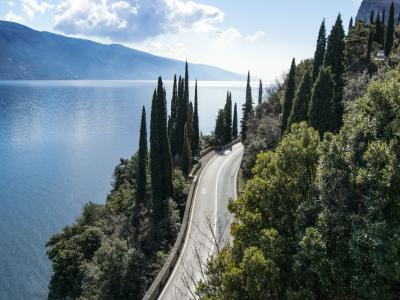 A winding paved road curves along the shore of a large blue lake, flanked by tall cypress trees and dense green vegetation under a partly cloudy sky.