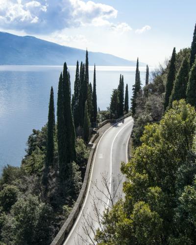 A winding paved road curves along the shore of a large blue lake, flanked by tall cypress trees and dense green vegetation under a partly cloudy sky.
