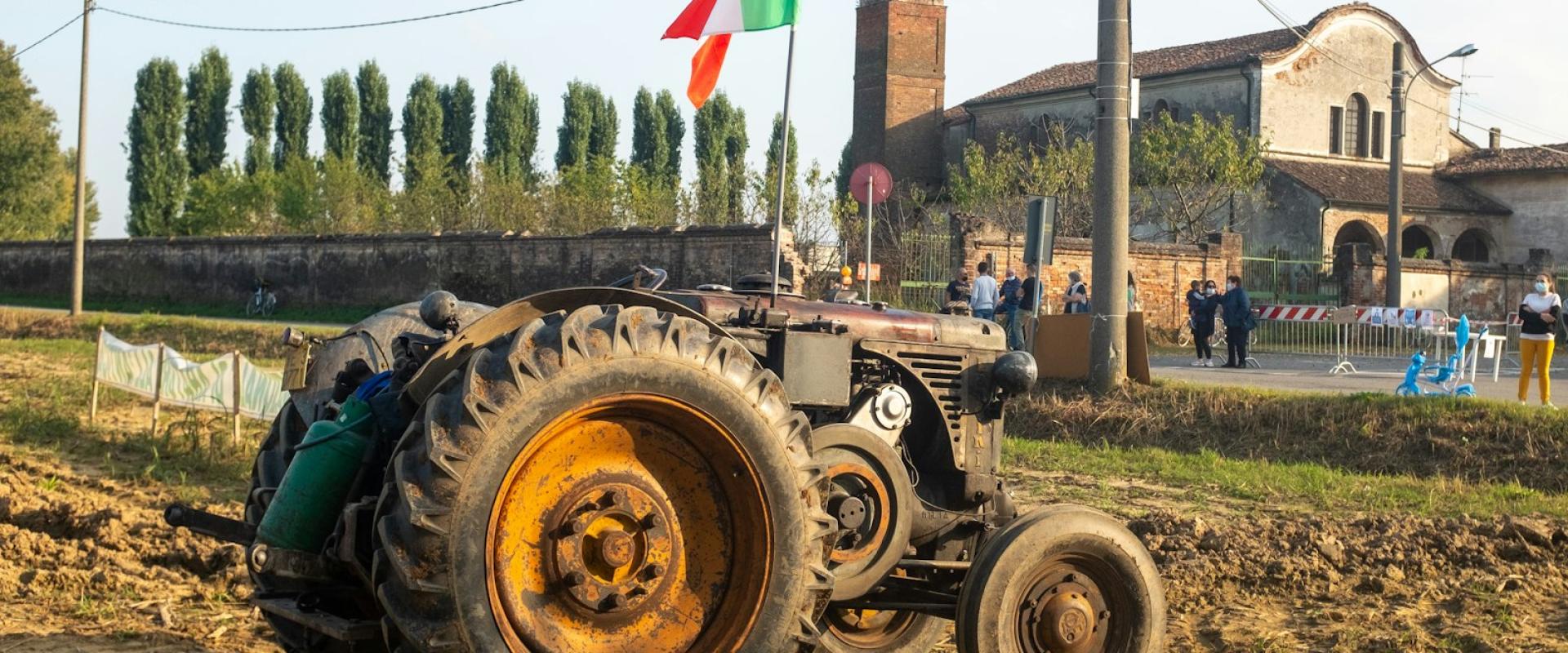 Agriturismos (Farm Stays)