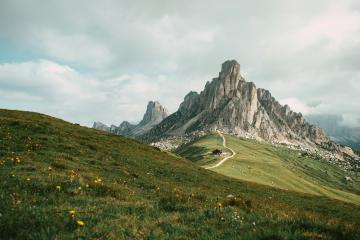 A winding dirt road ascends a grassy alpine meadow dotted with yellow wildflowers, leading toward a prominent, jagged limestone mountain peak under a cloudy sky.