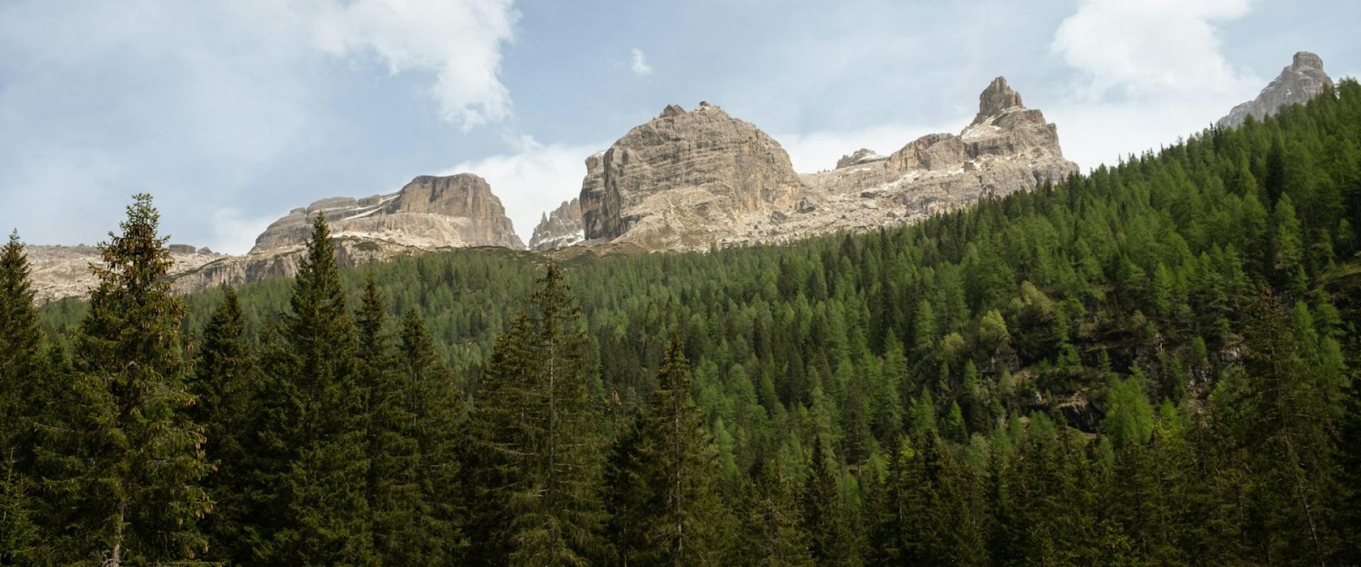 Brenta Dolomites Nature Park