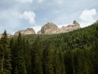 A landscape photograph showing a dense coniferous forest in the foreground with rugged, rocky mountain peaks rising above the treeline under a partly cloudy sky.