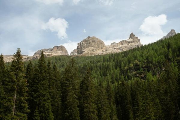 Brenta Dolomites Nature Park