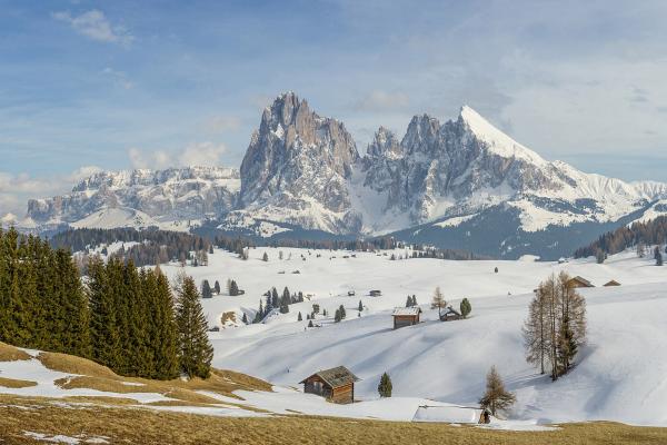 Alpe di Siusi (Seiser Alm)