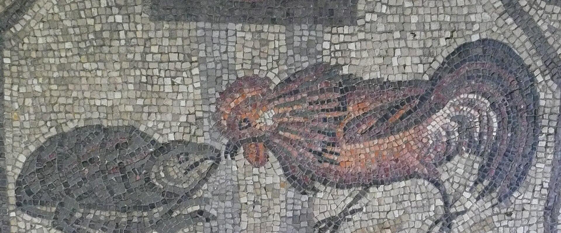 House of the Animal Mosaics
