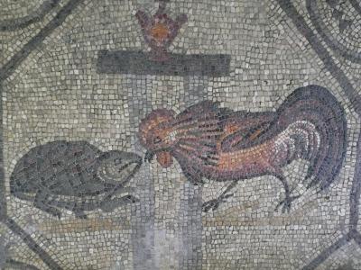 An ancient Roman floor mosaic of a rooster and a tortoise in Aquileia