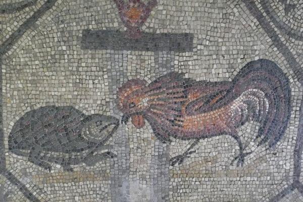 House of the Animal Mosaics