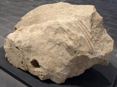A weathered fragment of a Doric capital, likely made of local limestone or tuff, displayed on a black plinth against a dark tiled floor, with faint traces of fluting visible on its surface.