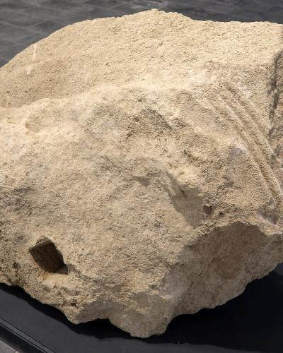 A weathered fragment of a Doric capital, likely made of local limestone or tuff, displayed on a black plinth against a dark tiled floor, with faint traces of fluting visible on its surface.