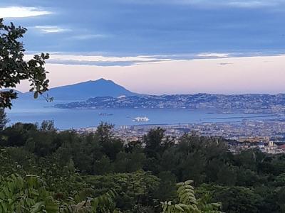 A scenic view from a vegetated hillside overlooking the city of Naples, the Bay of Naples, and the island of Capri in the distance under a cloudy sky.