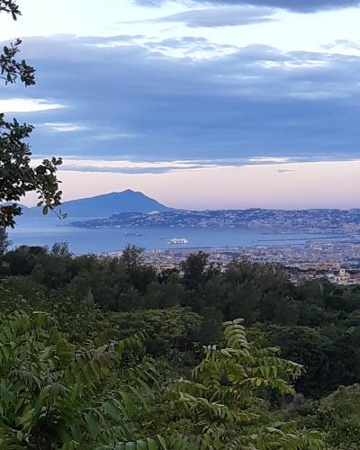A scenic view from a vegetated hillside overlooking the city of Naples, the Bay of Naples, and the island of Capri in the distance under a cloudy sky.