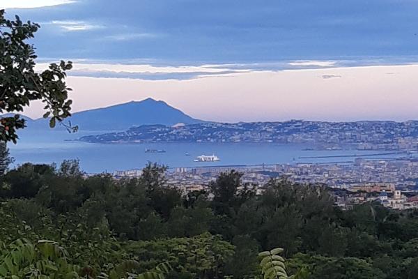 Parco Nazionale del Vesuvio