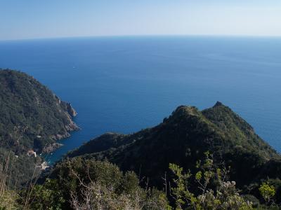 The steep green headlands of the Portofino promontory