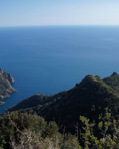 The steep green headlands of the Portofino promontory