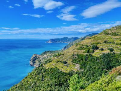 A scenic coastal landscape showing terraced vineyards on a steep hillside overlooking the blue sea, with a small village perched on a rocky promontory in the distance under a partly cloudy sky.