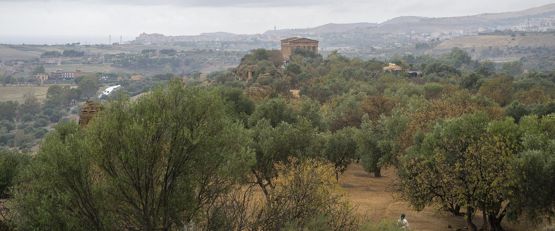 Temple of Concordia