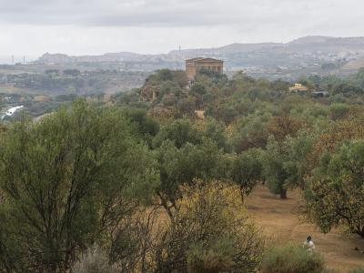 A wide landscape view of the Valle dei Templi archaeological park in Agrigento, Sicily, featuring the Temple of Concordia perched on a hilltop amidst olive groves and scrubland, with the modern town and sea visible in the distant background under