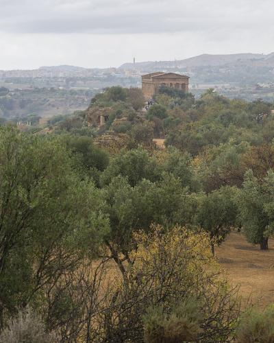 A wide landscape view of the Valle dei Templi archaeological park in Agrigento, Sicily, featuring the Temple of Concordia perched on a hilltop amidst olive groves and scrubland, with the modern town and sea visible in the distant background under