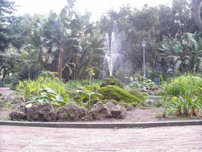 A park scene featuring a central fountain spraying water, surrounded by lush tropical vegetation including banana trees, moss-covered rocks, and a paved walkway in the foreground.