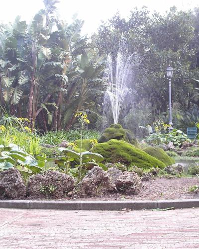 A park scene featuring a central fountain spraying water, surrounded by lush tropical vegetation including banana trees, moss-covered rocks, and a paved walkway in the foreground.