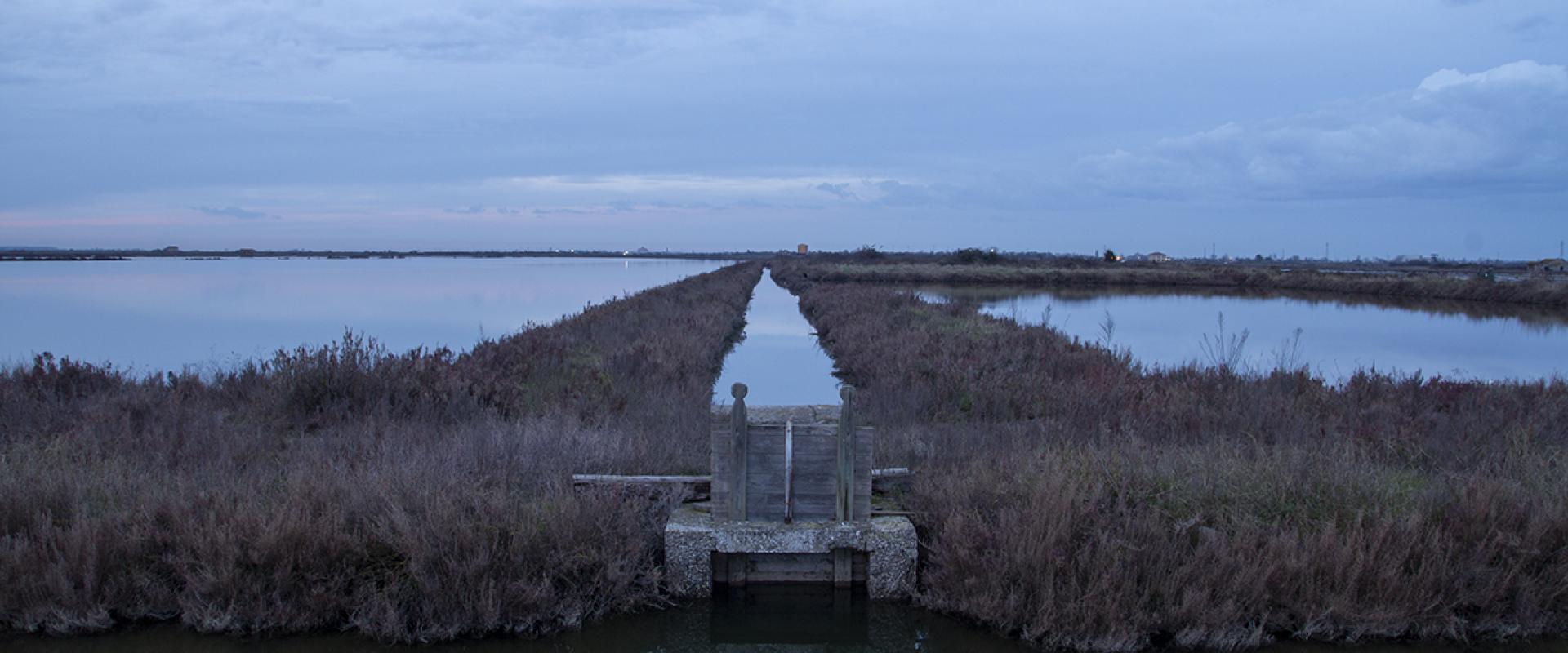 Salt Pans of Comacchio