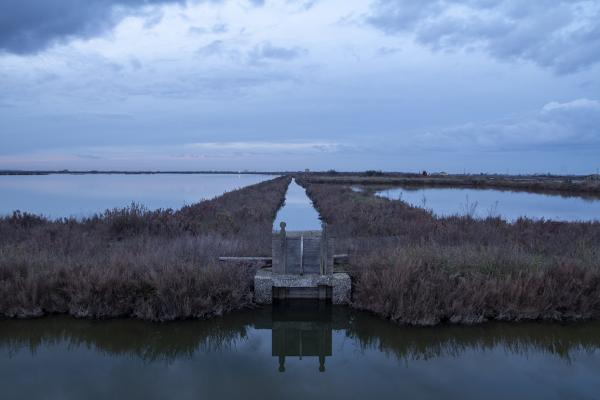Salt Pans of Comacchio