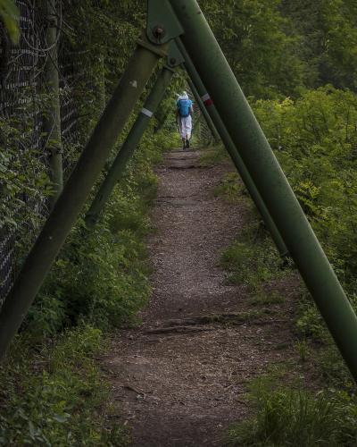 A hiker with a blue backpack walks away on a dirt trail framed by green metal support beams of a bridge or structure, with a wire mesh fence on the left and dense green foliage on both sides.