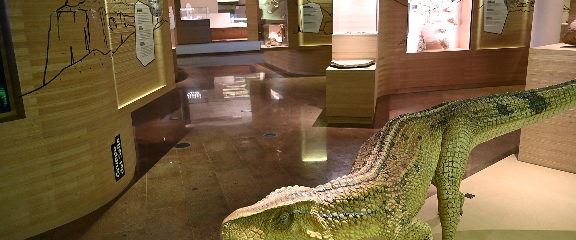 Museo delle Dolomiti