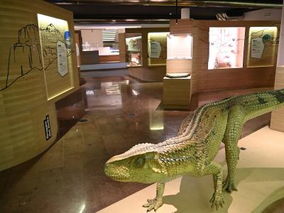 The image shows the interior of a modern museum exhibit featuring a large model of a prehistoric reptile (likely a temnospondyl amphibian) on a display platform, with wooden wall panels containing informational graphics and display cases in the ba