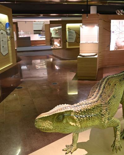 The image shows the interior of a modern museum exhibit featuring a large model of a prehistoric reptile (likely a temnospondyl amphibian) on a display platform, with wooden wall panels containing informational graphics and display cases in the ba