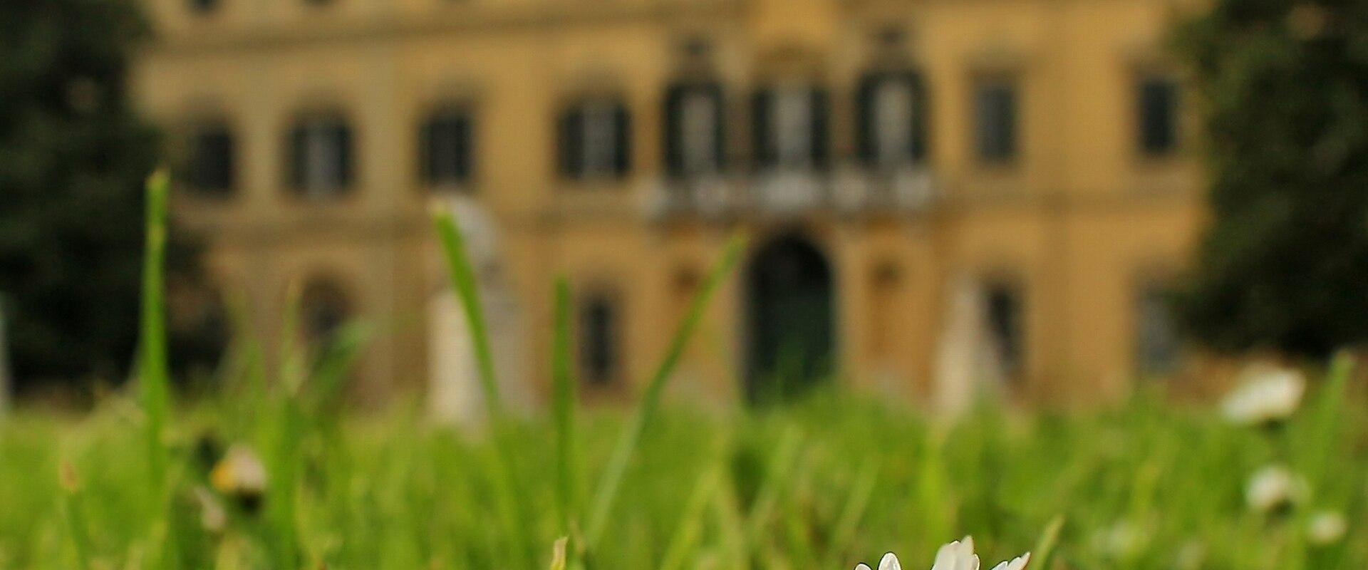 Giardino del Prato