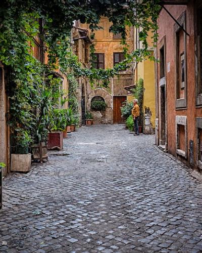 An ivy-hung cobbled lane in Trastevere, Rome