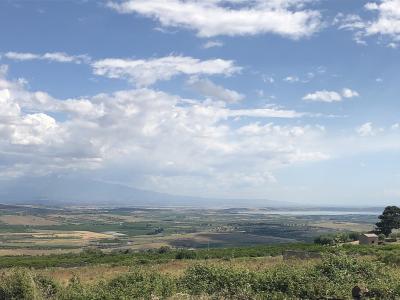 A wide landscape view of the Sicilian countryside featuring agricultural fields in the foreground and a large mountain (Mount Etna) in the distant background under a cloudy sky.