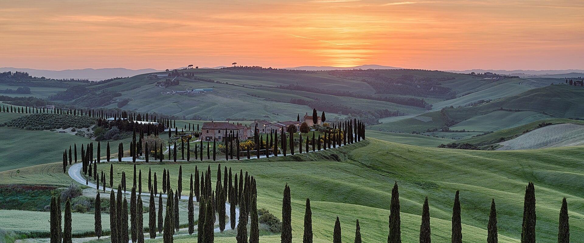 A winding dirt road lined with tall, slender cypress trees curves through rolling green hills toward a farmhouse at sunset.