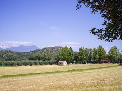 A rural landscape featuring a harvested field in the foreground, a small stone building, a line of trees, and a forested hill with ruins on its summit under a blue sky.