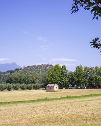 A rural landscape featuring a harvested field in the foreground, a small stone building, a line of trees, and a forested hill with ruins on its summit under a blue sky.