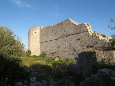 The image shows the stone ruins of a medieval fortress or castle with a cylindrical tower and high walls, set against a blue sky with vegetation in the foreground.