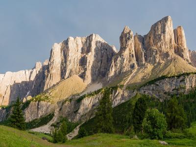 A panoramic view of the jagged, pale limestone peaks of the Sella Group in the Dolomites, with green alpine meadows and coniferous trees in the foreground under a partly cloudy sky.