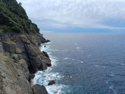 A rocky coastal cliff face covered in dense green Mediterranean vegetation, sloping down to meet the blue sea with white-capped waves crashing against the rocks under a cloudy sky.