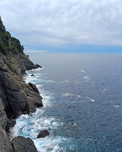 A rocky coastal cliff face covered in dense green Mediterranean vegetation, sloping down to meet the blue sea with white-capped waves crashing against the rocks under a cloudy sky.