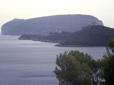 A coastal landscape showing a large, flat-topped limestone headland rising from the sea, with visible structures including a lighthouse on the left and a tower on a lower promontory, framed by green trees in the foreground.