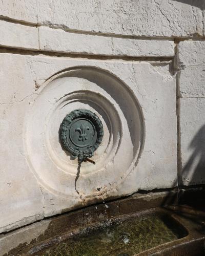 A close-up of a stone fountain spout featuring a bronze fleur-de-lis emblem within a laurel wreath, set into a carved stone wall with Latin inscriptions above and a water basin below.