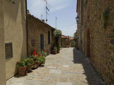 A narrow, sunlit cobblestone alleyway in an old Italian town, flanked by rustic stone and stucco buildings with potted plants and traditional shutters.