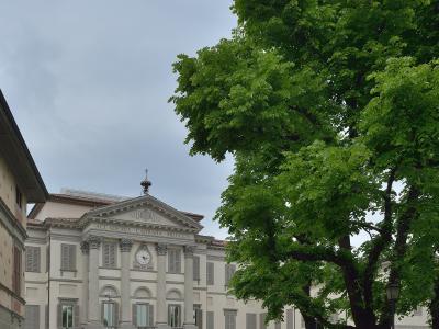 The image shows the neoclassical facade of a large building with columns, a pediment inscribed “ACCADEMIA CARRARA MDCCCX,” a clock, and an iron gate; people are gathered outside on a cobblestone street under a cloudy sky, with a large tree dominat