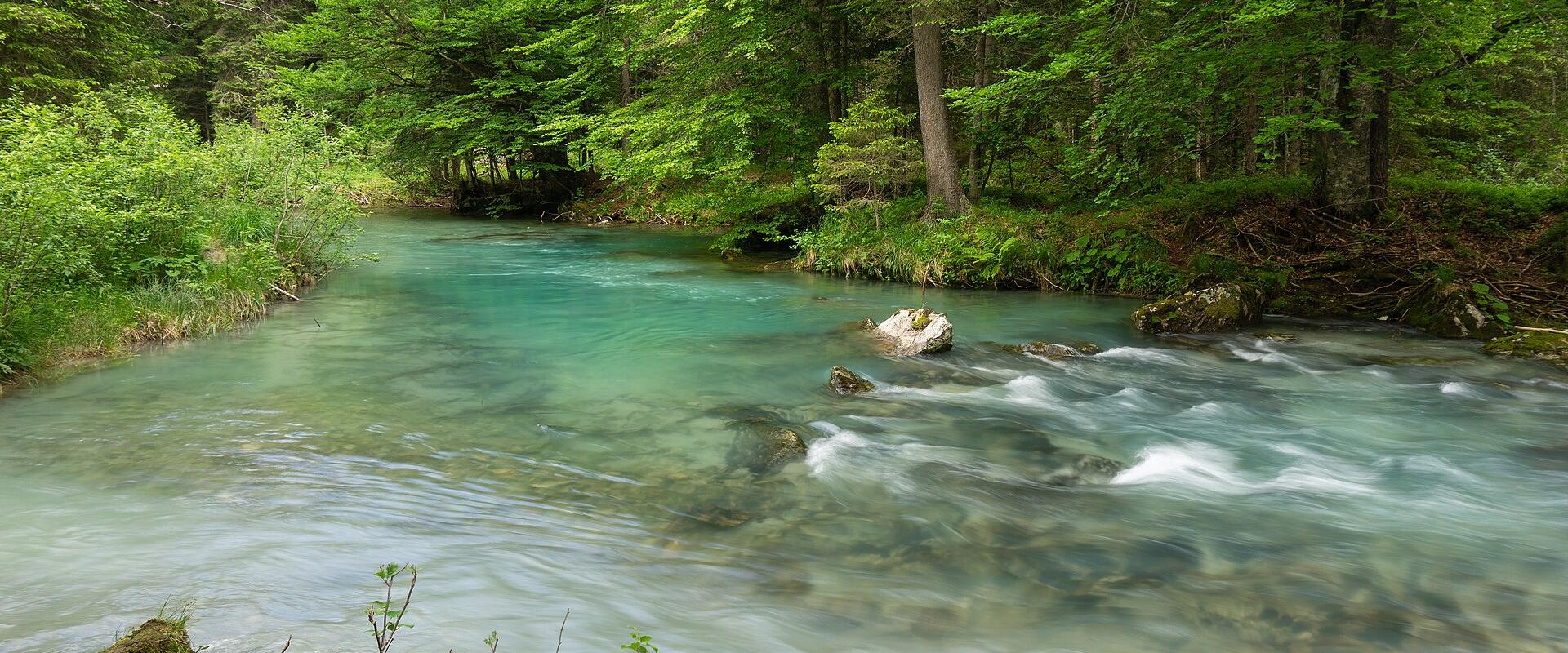 A long-exposure photograph of a clear, turquoise alpine river flowing through a dense green forest with mossy rocks and lush vegetation along the banks.