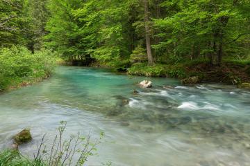 Nature Reserves