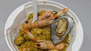 Food & Gastronomy