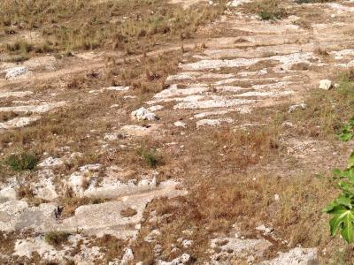 A view of weathered, parallel stone tracks or ruts worn into the ground, surrounded by dry grass and rocky terrain, with a quarry wall visible in the background.