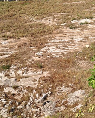 A view of weathered, parallel stone tracks or ruts worn into the ground, surrounded by dry grass and rocky terrain, with a quarry wall visible in the background.