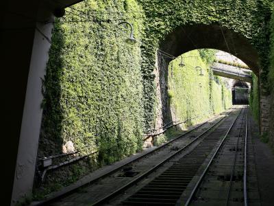 A view looking down a set of railway tracks through a stone archway, with walls heavily covered in green ivy and overhead electric lines visible.